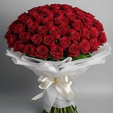 Букет 101 Красная роза Блэк Мэджик в Огуднево