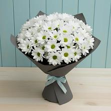 Букет цветов из:  Хризантемы #REPLACE_PRED# Огуднево