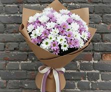 Букет цветов из:  Хризантемы #REPLACE_PRED# Огуднево