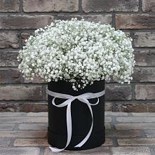 Цветочная композиция из Гипсофила в шляпной коробке в Огуднево
