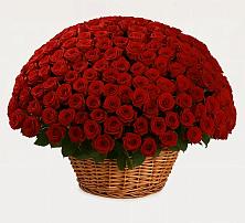 Премиум букет из: Розы в Огуднево